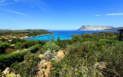 Capo Coda Cavallo: un angolo di paradiso per le vacanze e gli investimenti