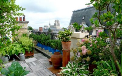 Bonus verde 2018: una nuova detrazione per giardini e terrazzi